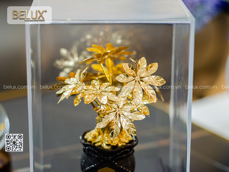 cay-kim-tien-dat-vang