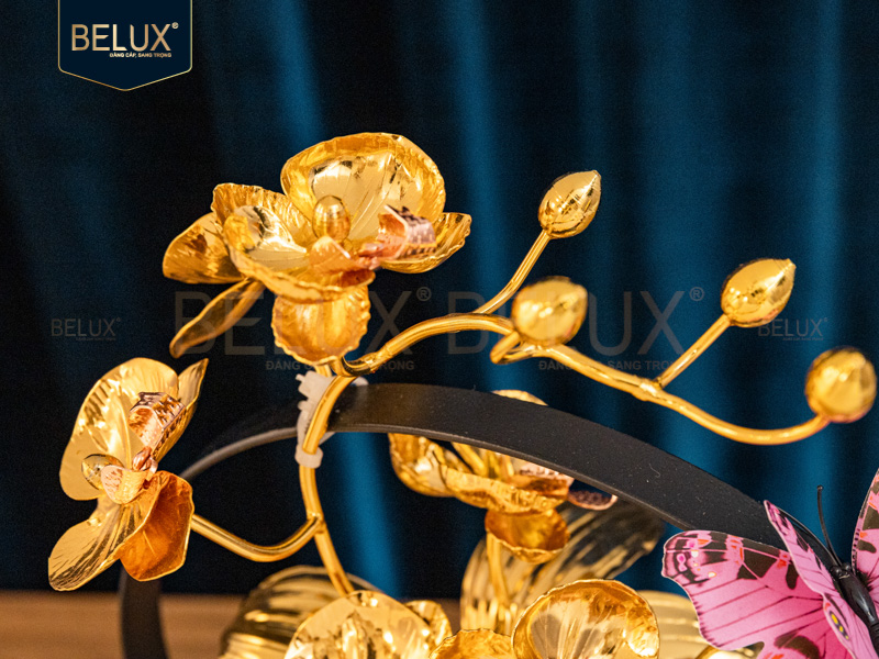 Chậu Lan Bướm Mạ Vàng