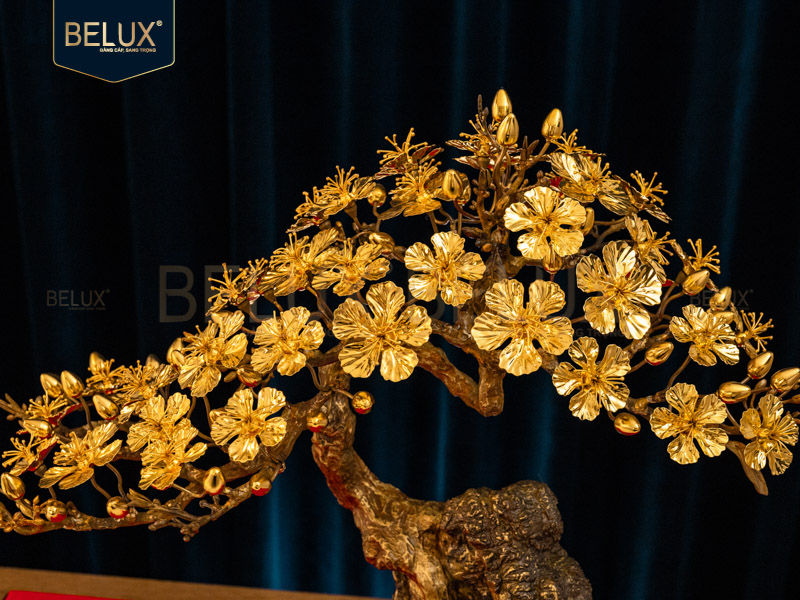 qua-tang-sep-cao-cap