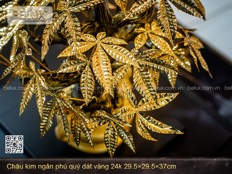 Chậu Kim Ngân Phú Quý Dát Vàng 24k