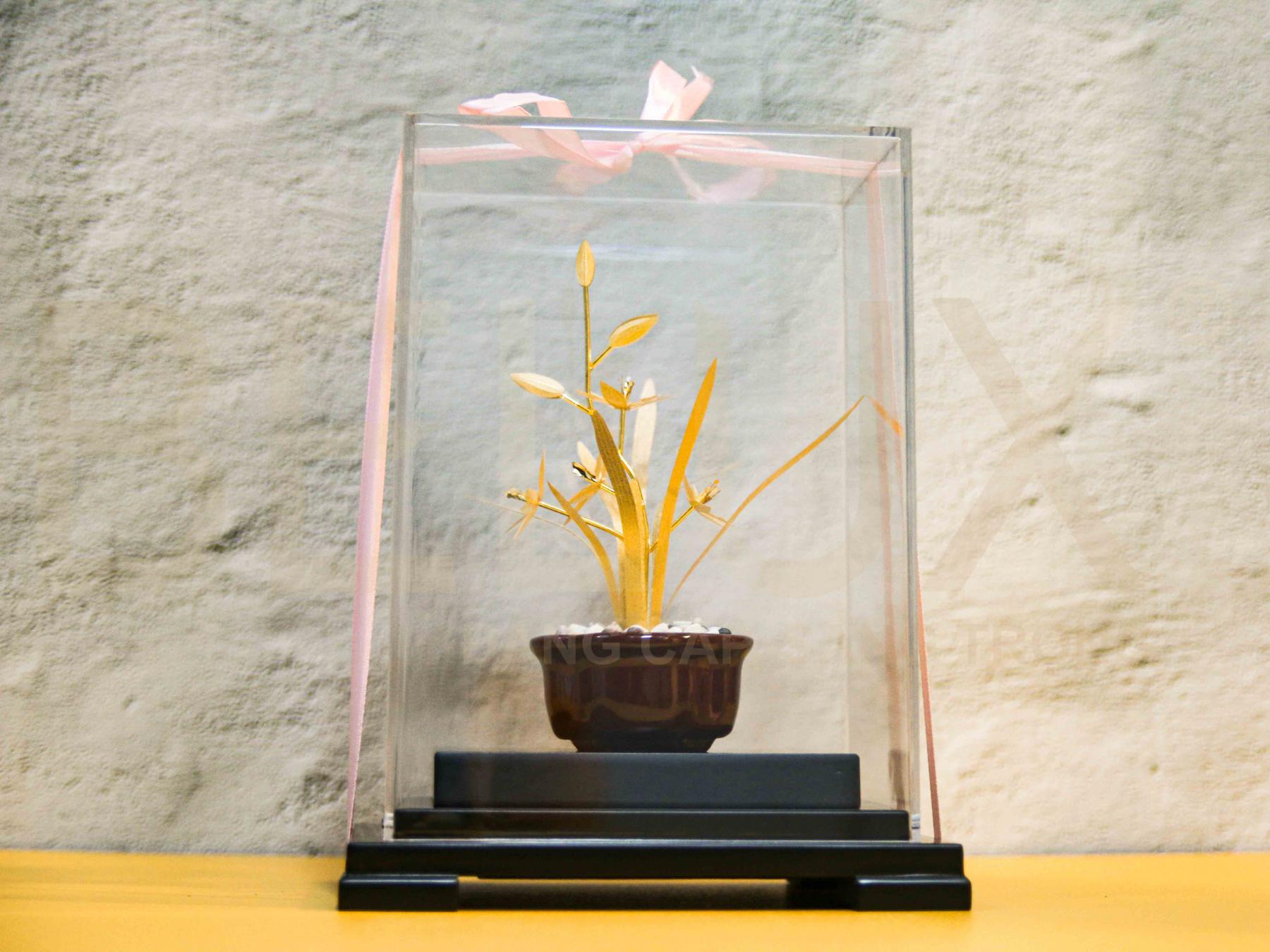 Chậu hoa lan kiếm dát vàng 24k