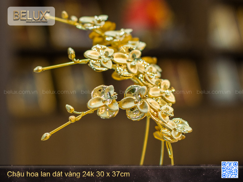 Chậu hoa lan dát vàng 24K