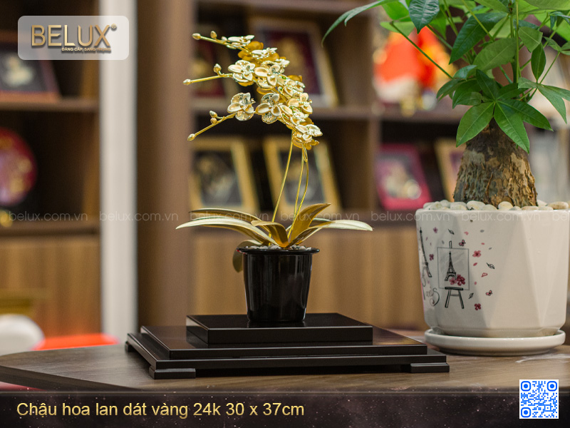 Chậu hoa lan dát vàng 24K