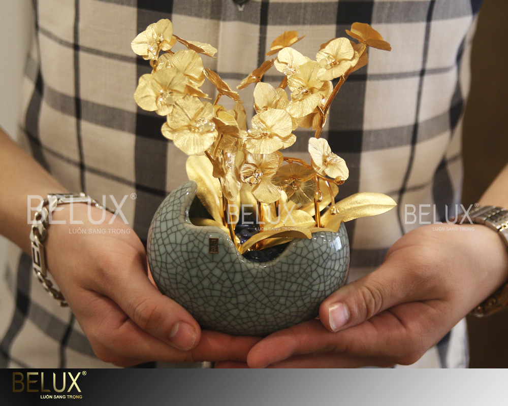 Chậu Lan Hồ Điệp 4 Cành Dát Vàng 24K