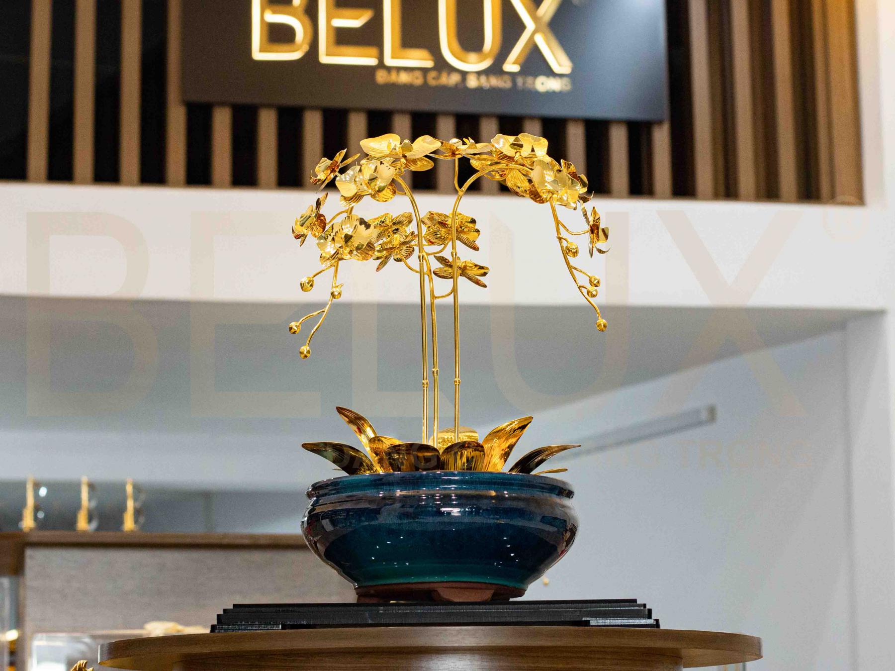 Chậu Lan bằng đồng mạ vàng 24k mẫu 05