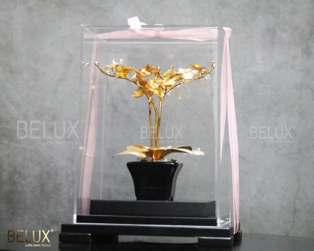Chậu Hoa Lan Hồ Điệp 3 Nhánh Dát Vàng 24k