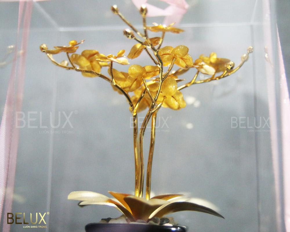 Chậu Hoa Lan Hồ Điệp 3 Nhánh Dát Vàng 24k