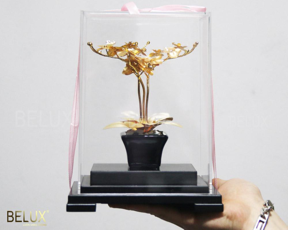 Chậu Hoa Lan Hồ Điệp 3 Nhánh Dát Vàng 24k