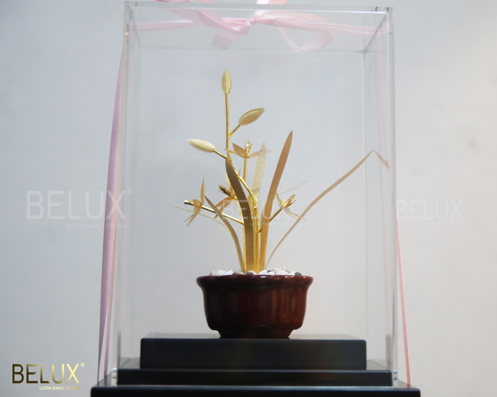 Chậu hoa lan kiếm dát vàng 24k