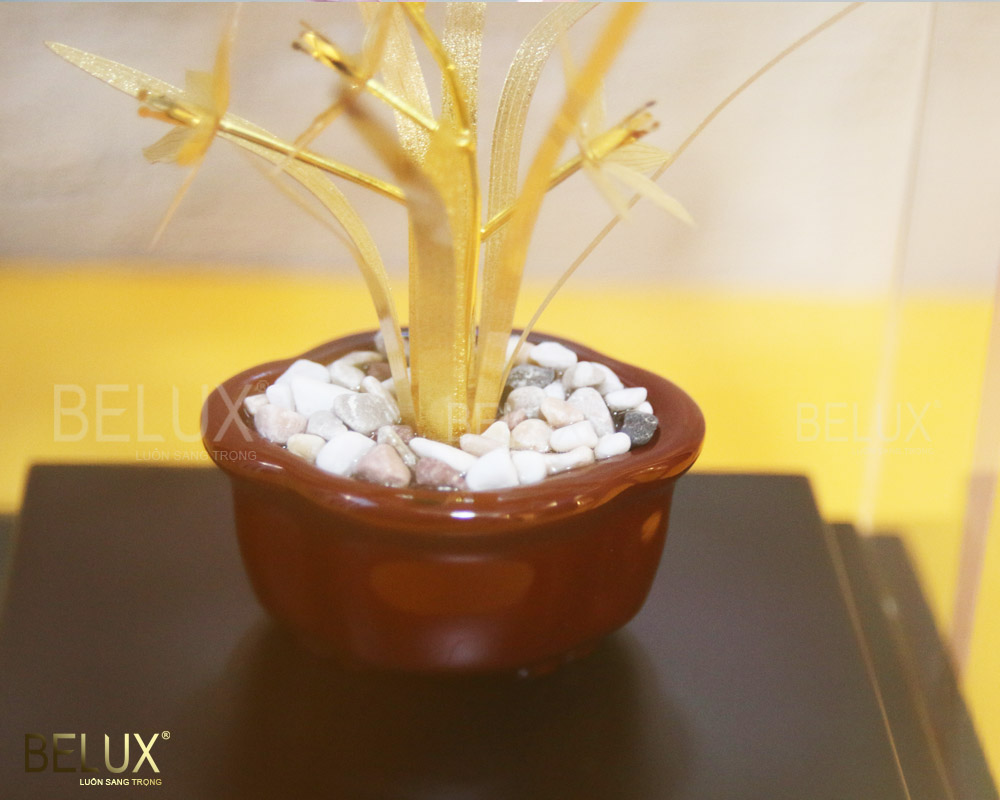 Chậu hoa lan kiếm dát vàng 24k