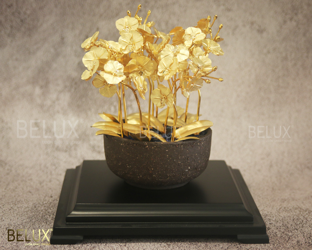 lan-ho-diep-12-nhanh-dat-vang