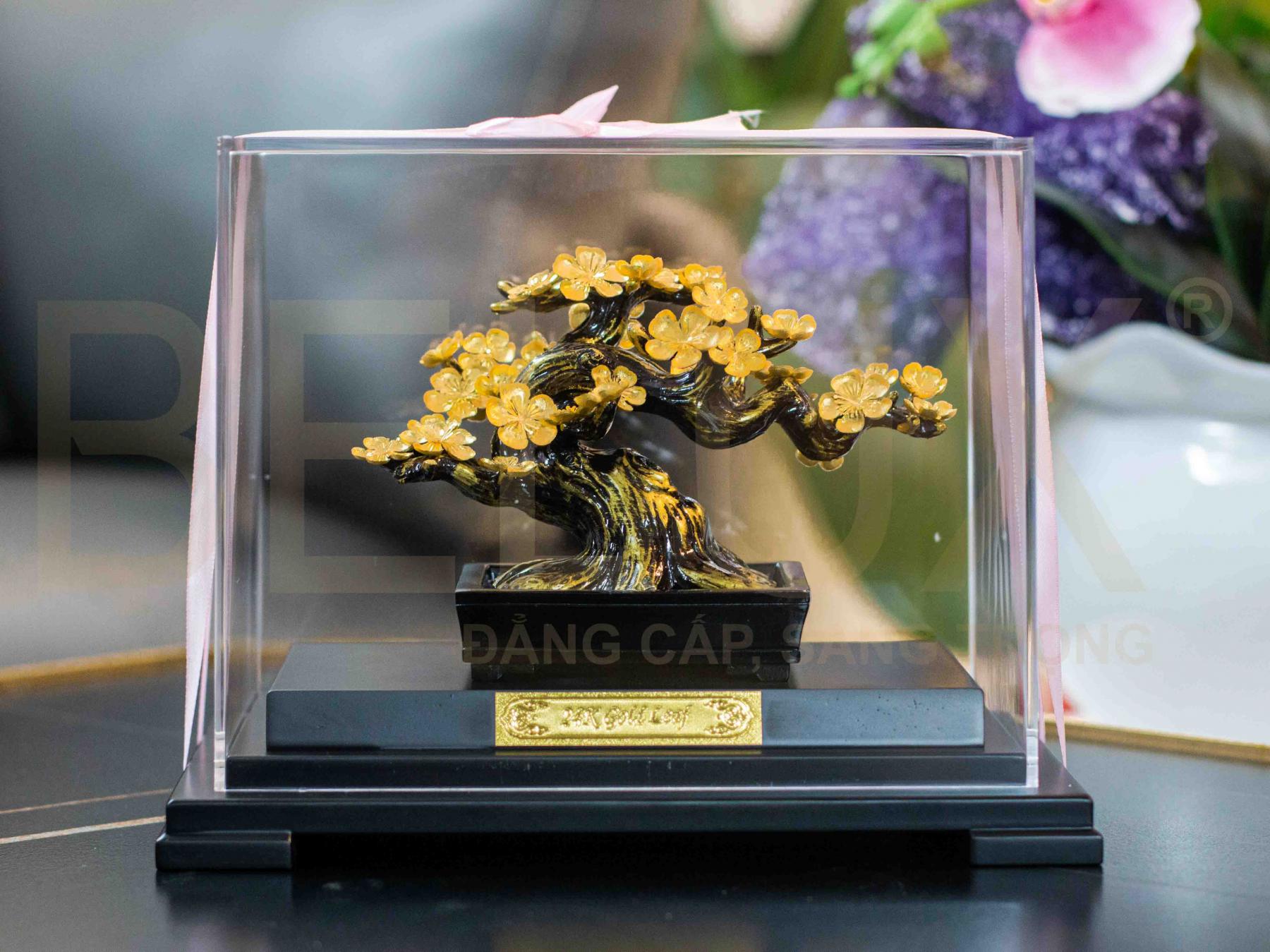Cây Mai Bonsai Dát Vàng 24k