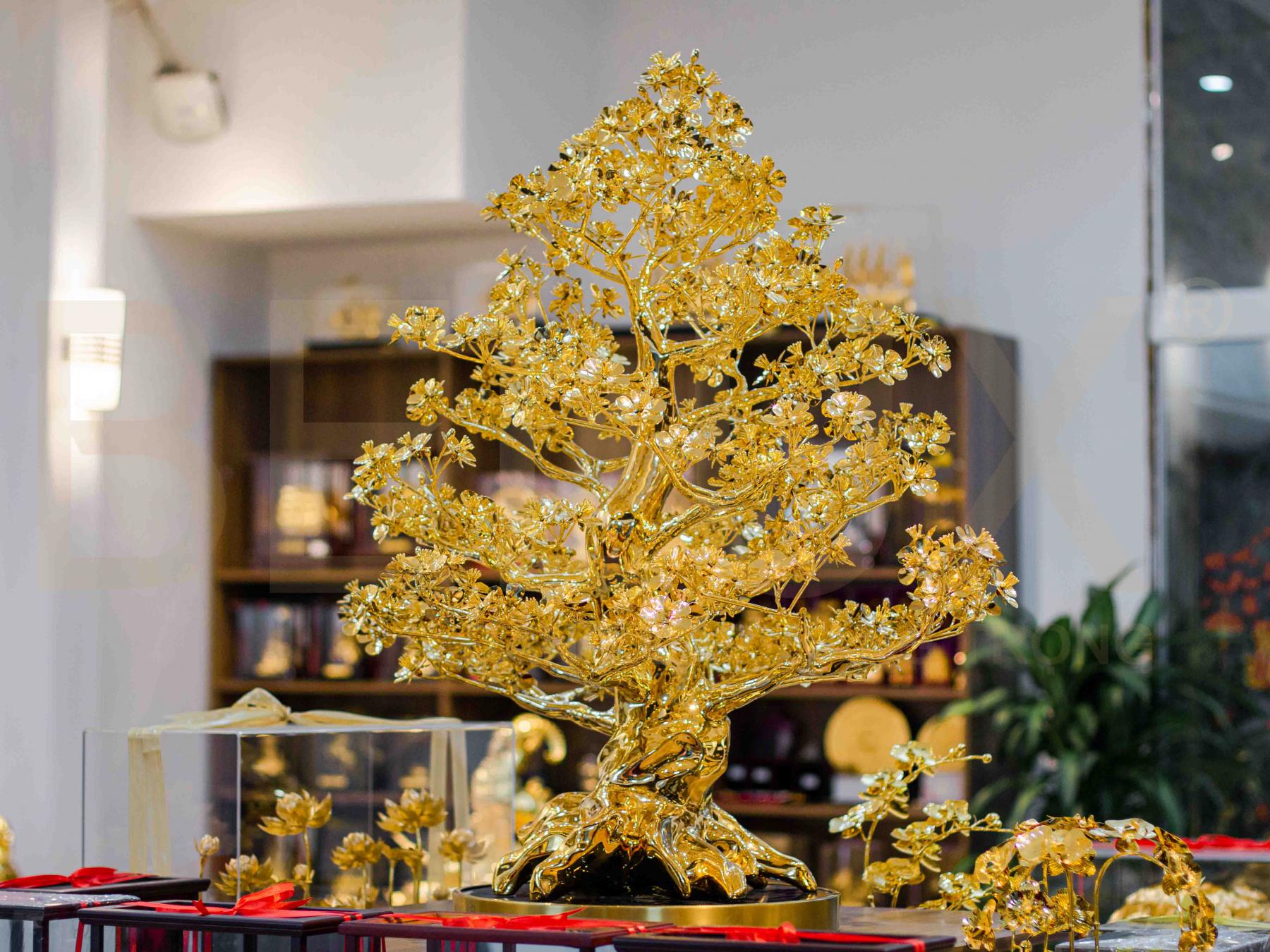 Chậu Mai vàng đại phúc mạ vàng 24K