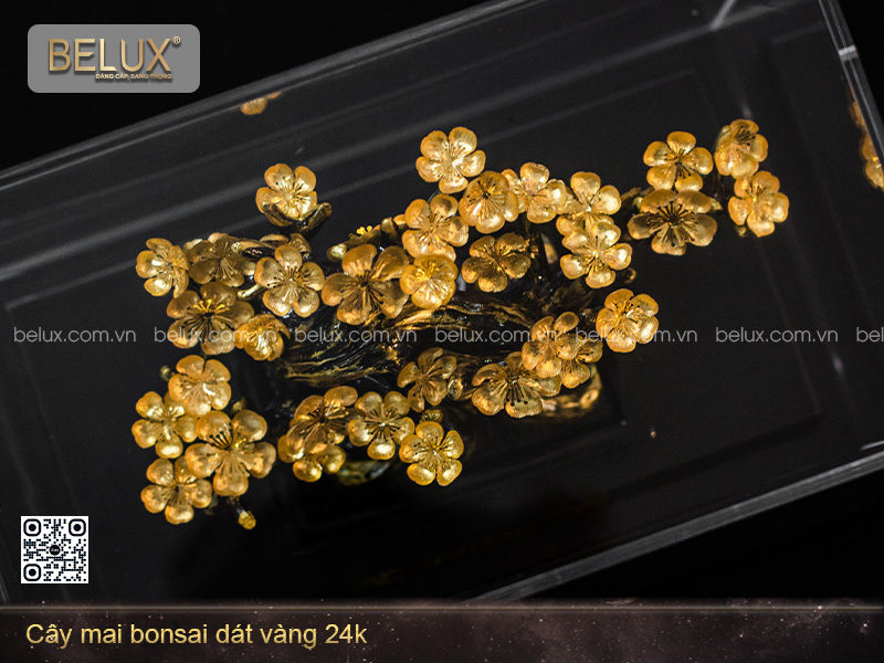 Cây Mai Bonsai Dát Vàng 24k