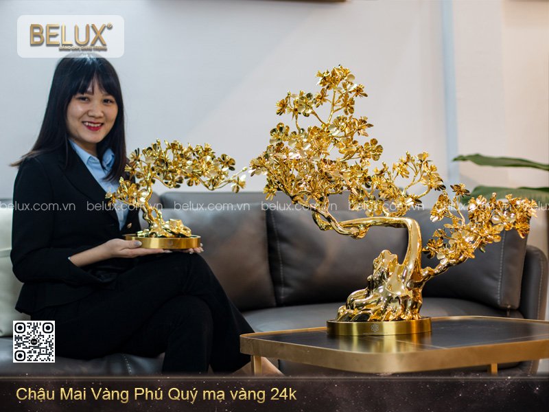 Chậu Mai Vàng Phú Quý Mạ Vàng 24K