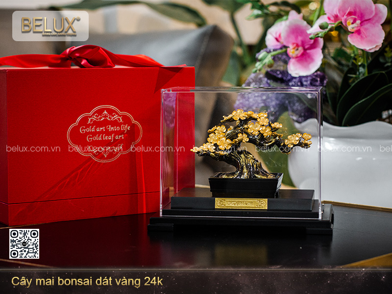 Cây Mai Bonsai Dát Vàng 24k