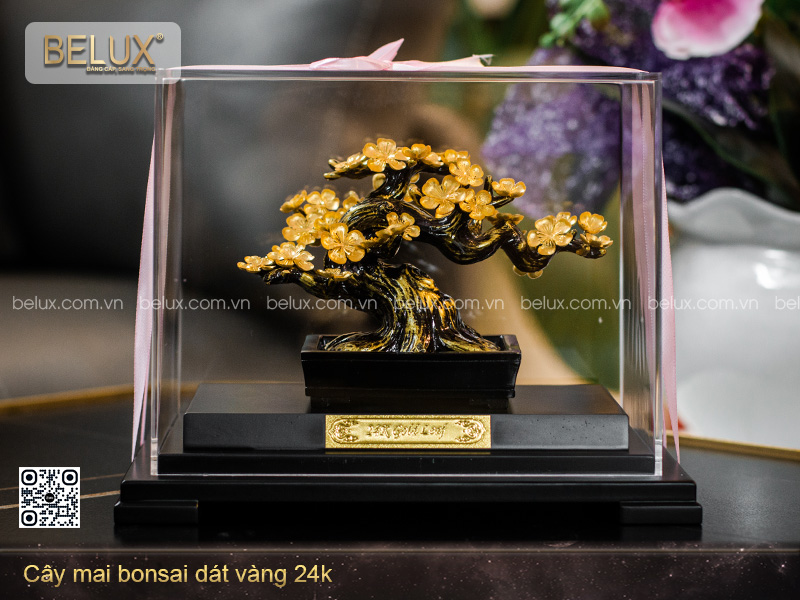 Cây Mai Bonsai Dát Vàng 24k