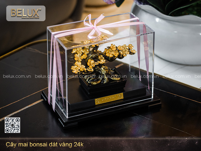 Cây Mai Bonsai Dát Vàng 24k