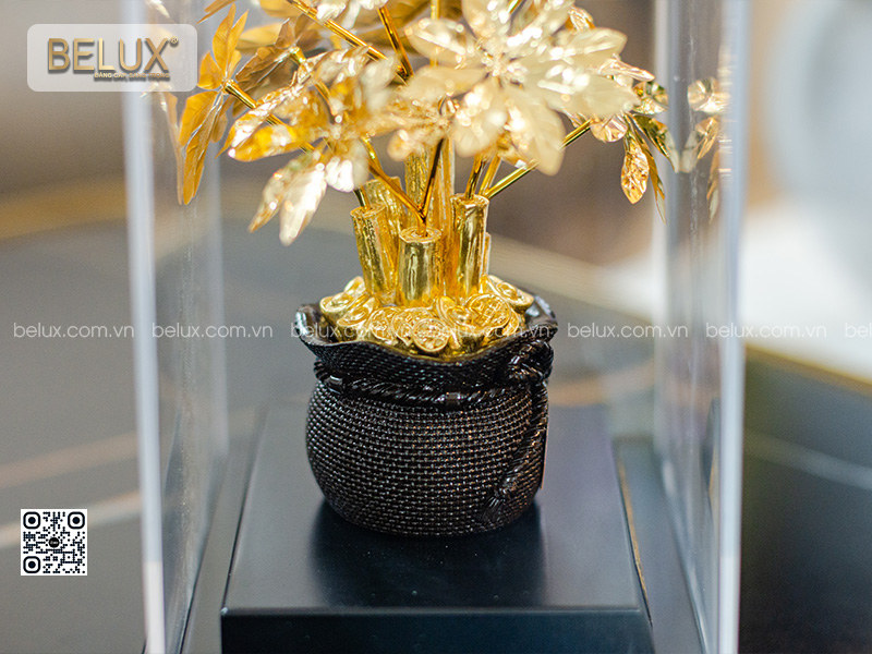 Chậu cây kim tiền dát vàng 24k