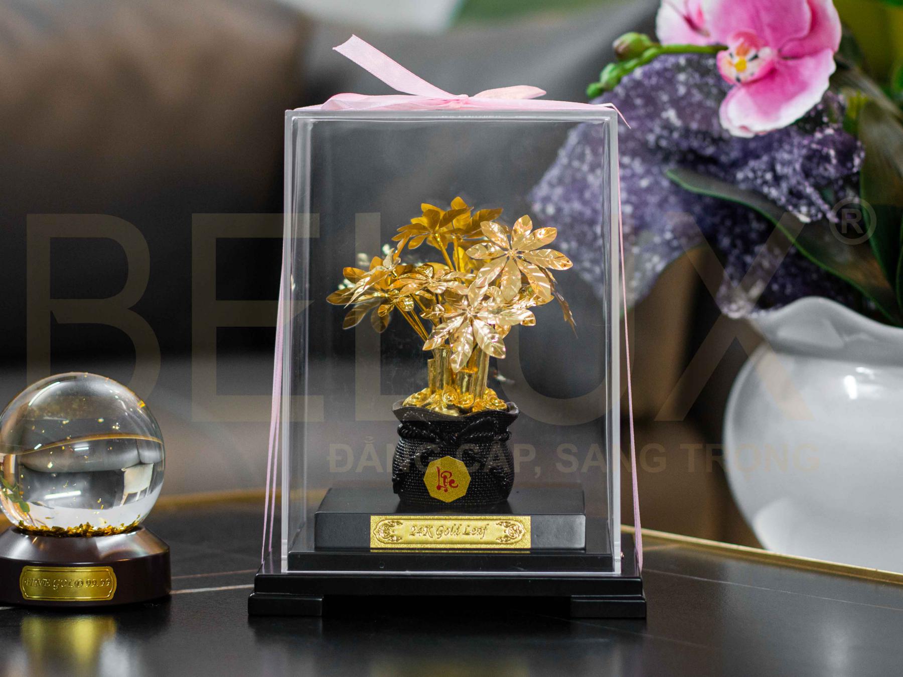 Chậu cây kim tiền dát vàng 24k