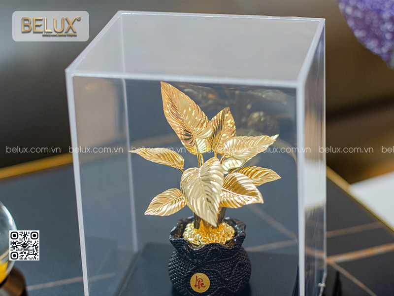 Chậu cây phú quý dát vàng 24k
