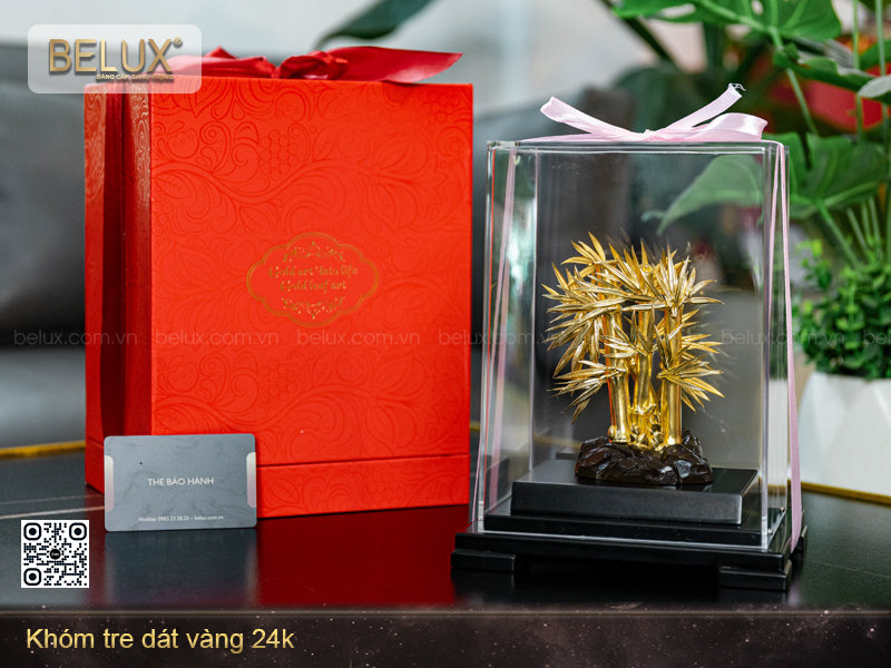 Khóm Tre Dát Vàng 24k
