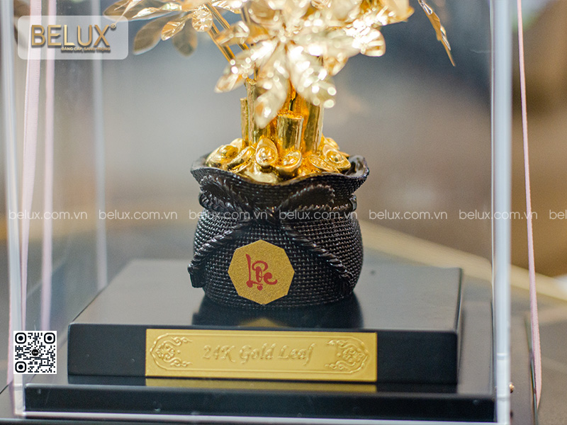 Chậu cây kim tiền dát vàng 24k