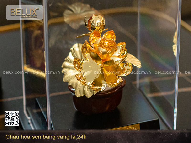 chau-sen-dat-vang-24k-chi-tiet