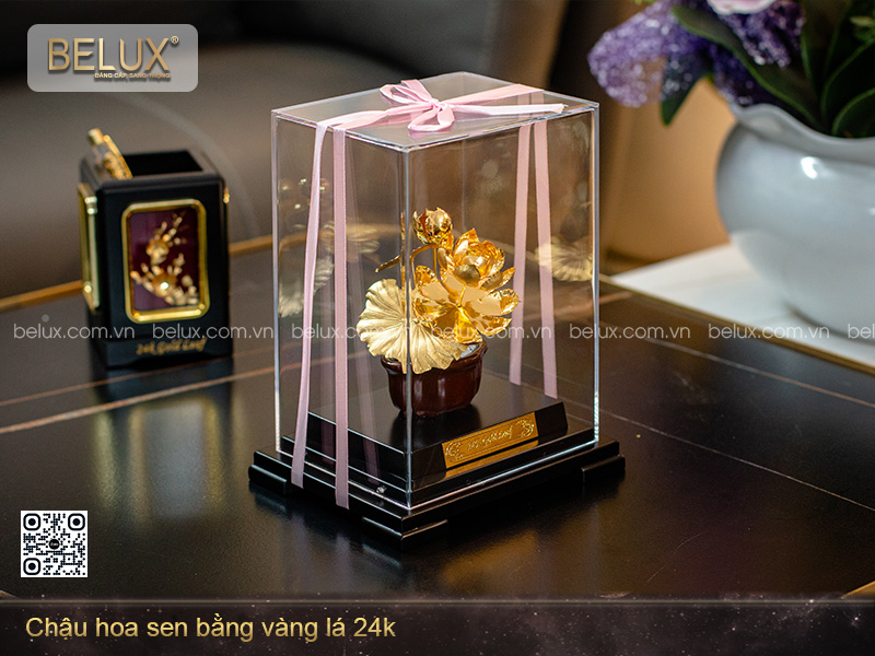 chau-sen-dat-vang-24k