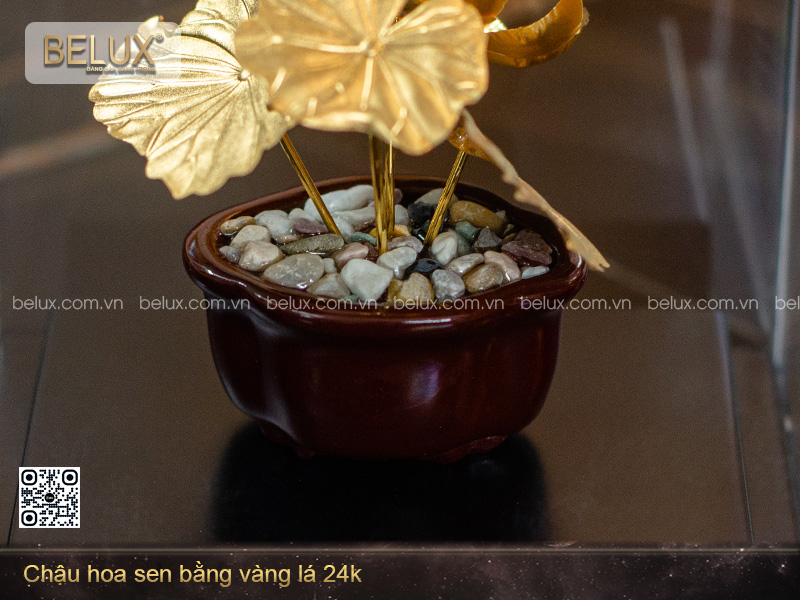 chi-tiet-chau-sen-dat-vang-24k