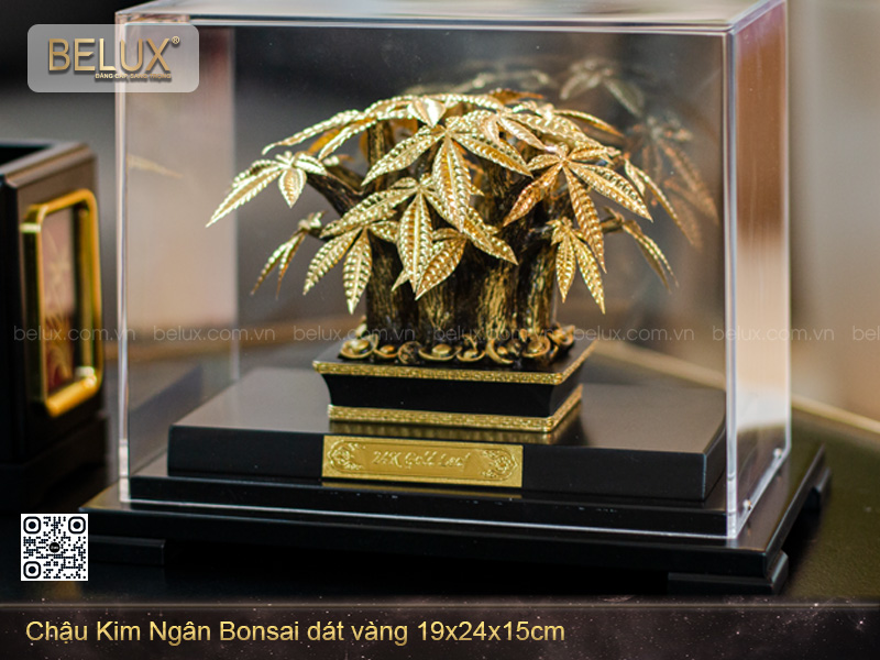 cay-kim-ngan-bon-sai-dat-vang