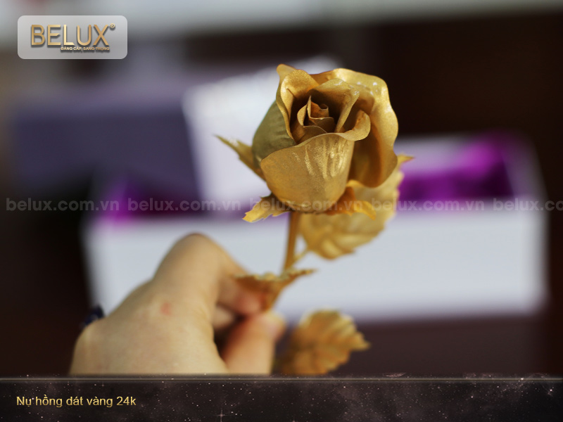 Nụ hồng dát vàng 24k