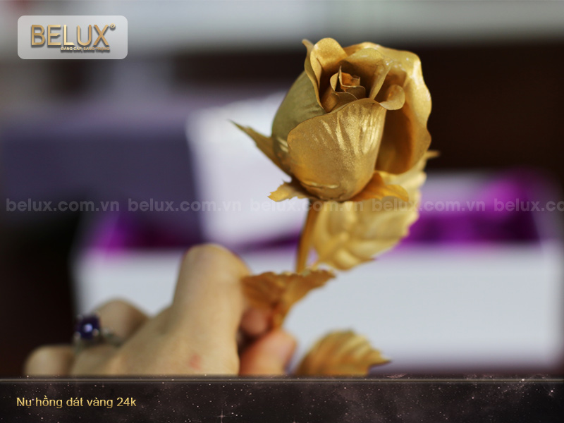Nụ hồng dát vàng 24k