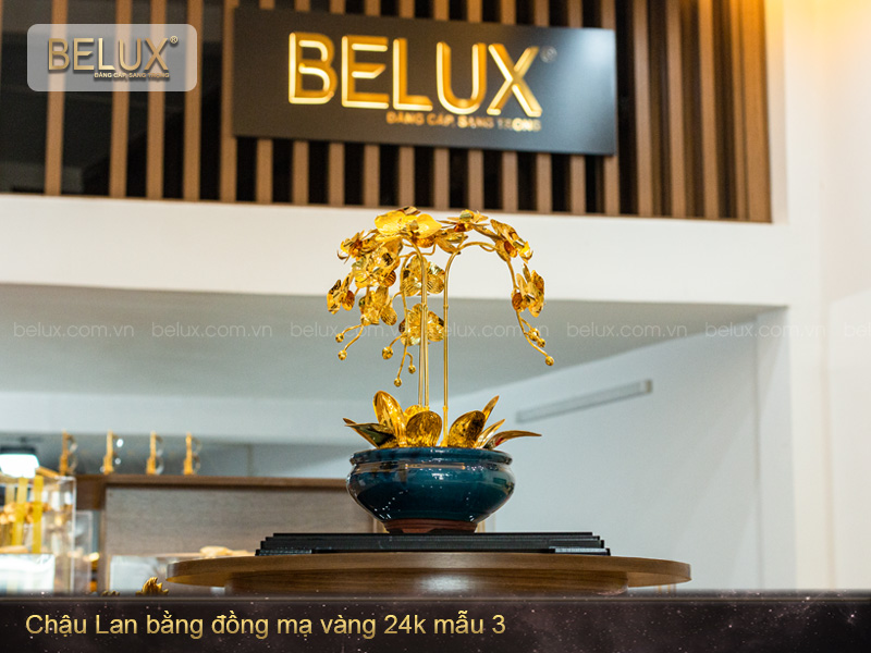 chau cay lan ma vang